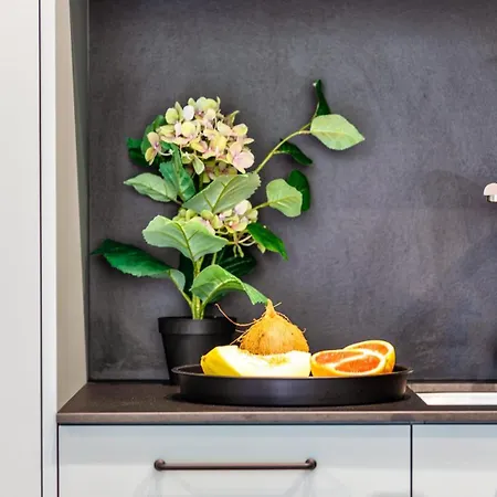 דירה Park Ii Blisko Plazy Piamola סטגנה